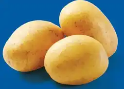 Lidl Speisekartoffeln Angebot