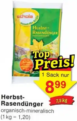 Wiglo Wunderland Schola Herbst Rasendünger Angebot