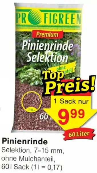 Wiglo Wunderland Pinienrinde Angebot