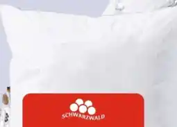 AWG Mode Schwarzwald Kopfkissen Angebot