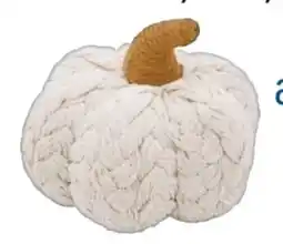 Rossmann Rossmann Ideen Welt Deko-Kürbis Angebot