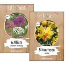 Rossmann Gartenwelt Blumenzwiebeln Angebot