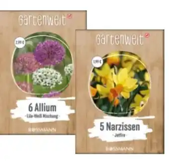 Rossmann Gartenwelt Blumenzwiebeln Angebot