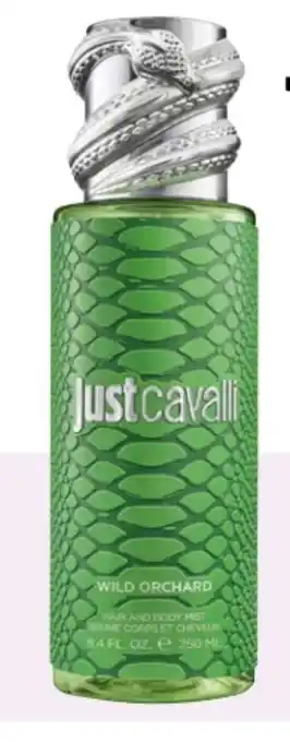 Rossmann justcavalli Wild Orchard Angebot