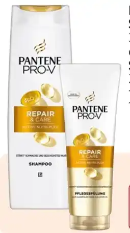 Rossmann Pantene Pro-V Shampoo Angebot