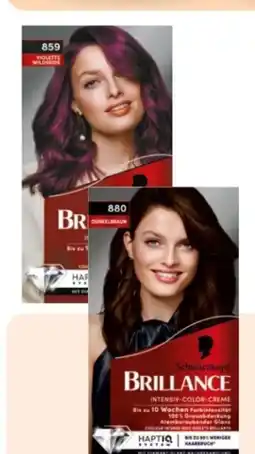 Rossmann Schwarzkopf Brillance Coloration Angebot