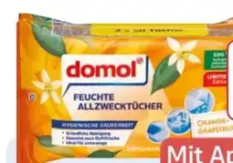 Rossmann Domol Feuchte Allzwecktücher Angebot