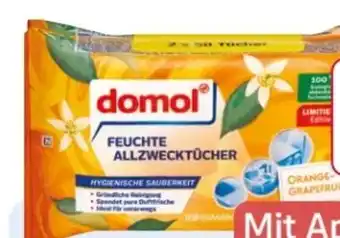 Rossmann Domol Feuchte Allzwecktücher Angebot