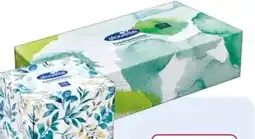 Rossmann Alouette Taschentücher Angebot