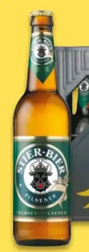 NETTO Darguner Brauerei Stier Pilsener Angebot