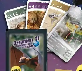 NETTO Ozeanien 11 Sammelkarten Angebot