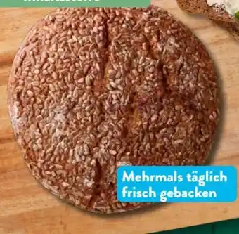 Aldi Süd Nur Natur Bio-Steinofen-Vollkornlaib Angebot