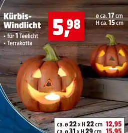 Thomas Philipps Kürbis-windlicht Angebot