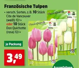 Thomas Philipps Französische tulpen cite de vancouver Angebot