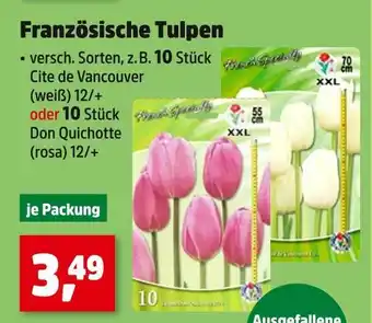 Thomas Philipps Französische tulpen cite de vancouver Angebot