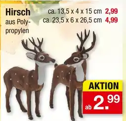 Zimmermann Hirsch Angebot