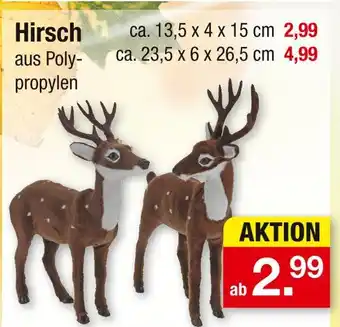 Zimmermann Hirsch Angebot