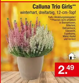 Zimmermann Calluna trio girls Angebot