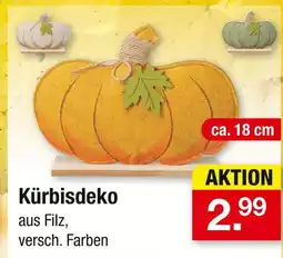 Zimmermann Kürbisdeko Angebot