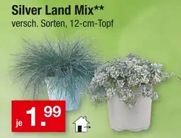 Zimmermann Silver land mix Angebot