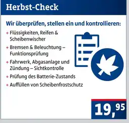 AUTO plus Herbst-check Angebot