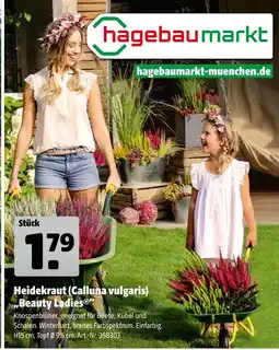 Hagebau Heidekraut (calluna vulgaris) 'beauty ladies' Angebot
