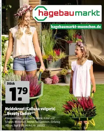 Hagebau Heidekraut (calluna vulgaris) 'beauty ladies' Angebot