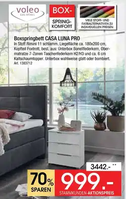Zurbrüggen Voleo boxspringbett casa luna pro Angebot