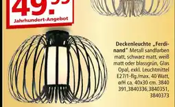 Segmüller Deckenleuchte ferdinand Angebot