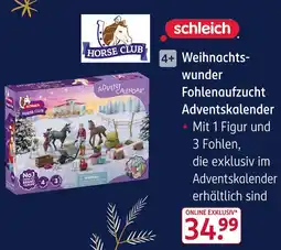 Rossmann Schleich weihnachtswunder fohlenaufzucht adventskalender Angebot