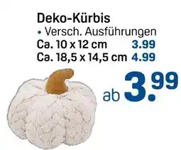Rossmann Deko-kürbis Angebot