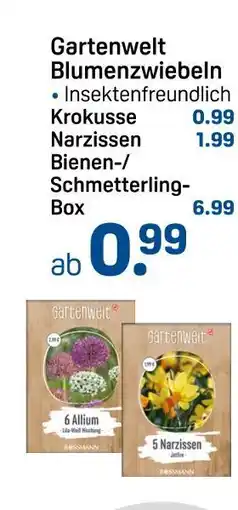 Rossmann Gartenwelt krokusse Angebot