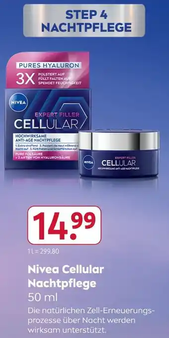 Rossmann Nivea cellular nachtpflege Angebot