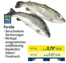 METRO Forelle Angebot