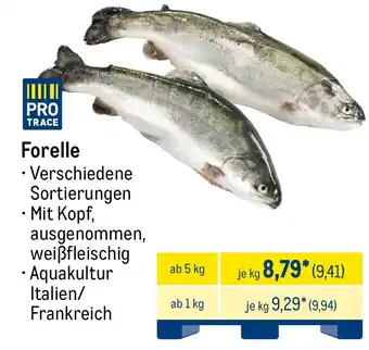 METRO Forelle Angebot