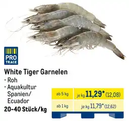METRO White Tiger Garnelen Angebot