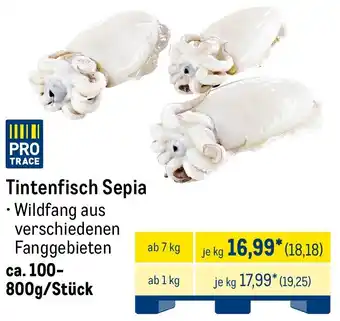 METRO Tintenfisch Sepia Angebot