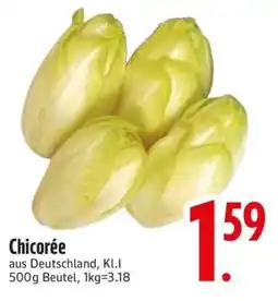 Edeka Chicorée Angebot