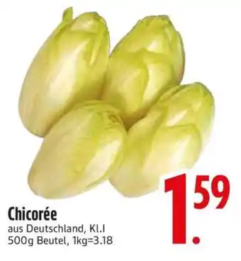 Edeka Chicorée Angebot