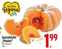 Edeka Speisekürbis 'Muskat' Angebot