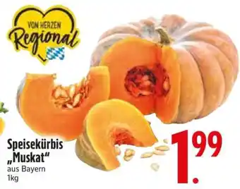 Edeka Speisekürbis 'Muskat' Angebot