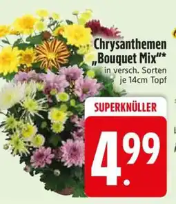 Edeka Chrysanthemen 'Bouquet Mix' Angebot