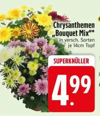 Edeka Chrysanthemen 'Bouquet Mix' Angebot
