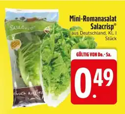 Edeka Mini-Romanasalat Salacrisp Angebot