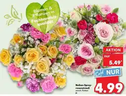 Kaufland Nelken-Sprayrosenstrauß Angebot