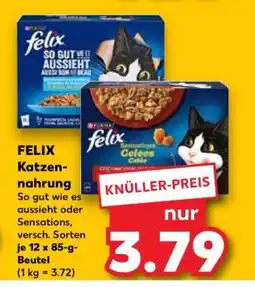 Kaufland felix Katzennahrung Angebot