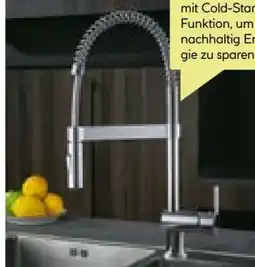 BayWa Valblue Spültischarmatur Namur Angebot