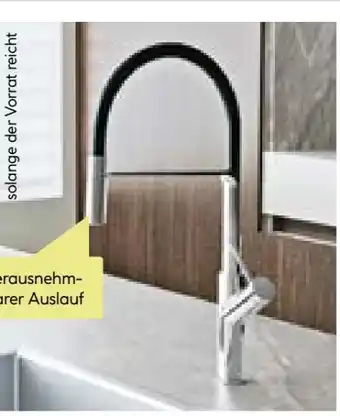 BayWa Valblue Spültischarmatur Cannes Angebot