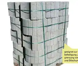 BayWa Pflanzring Angebot