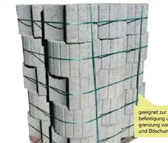 BayWa Pflanzring Angebot